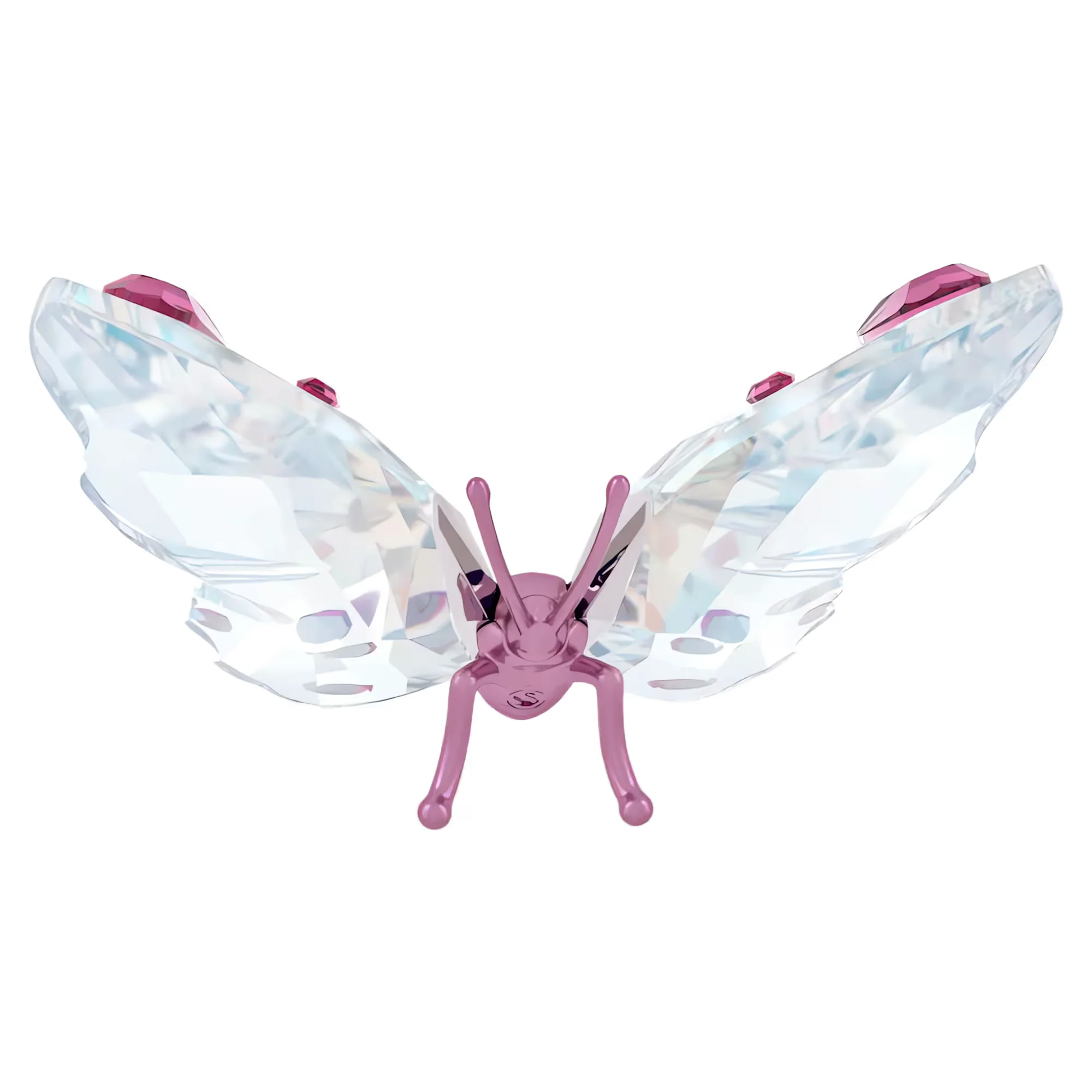 Idyllia Butterfly - Image 3